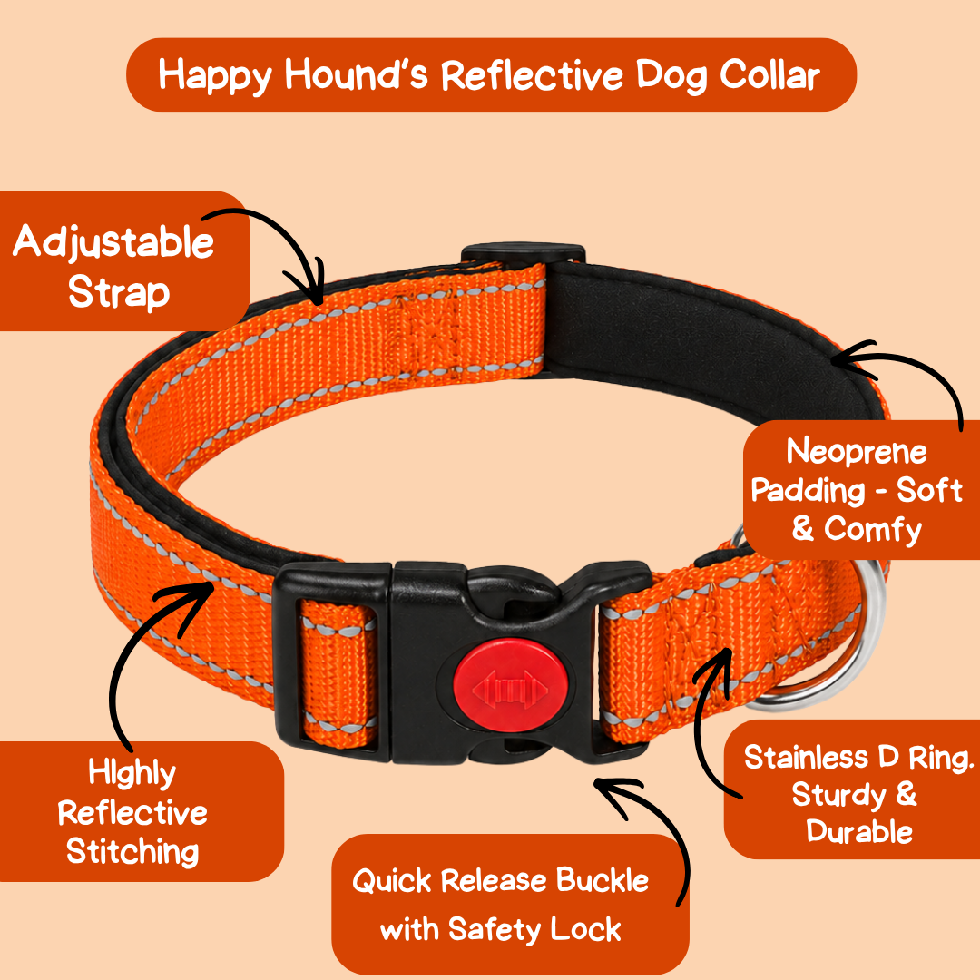 Reflective Dog Collar