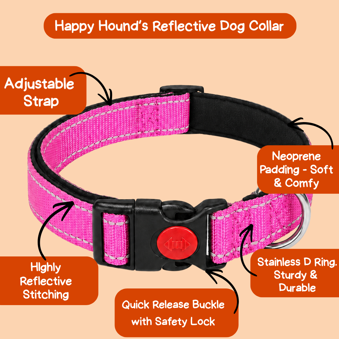 Reflective Dog Collar