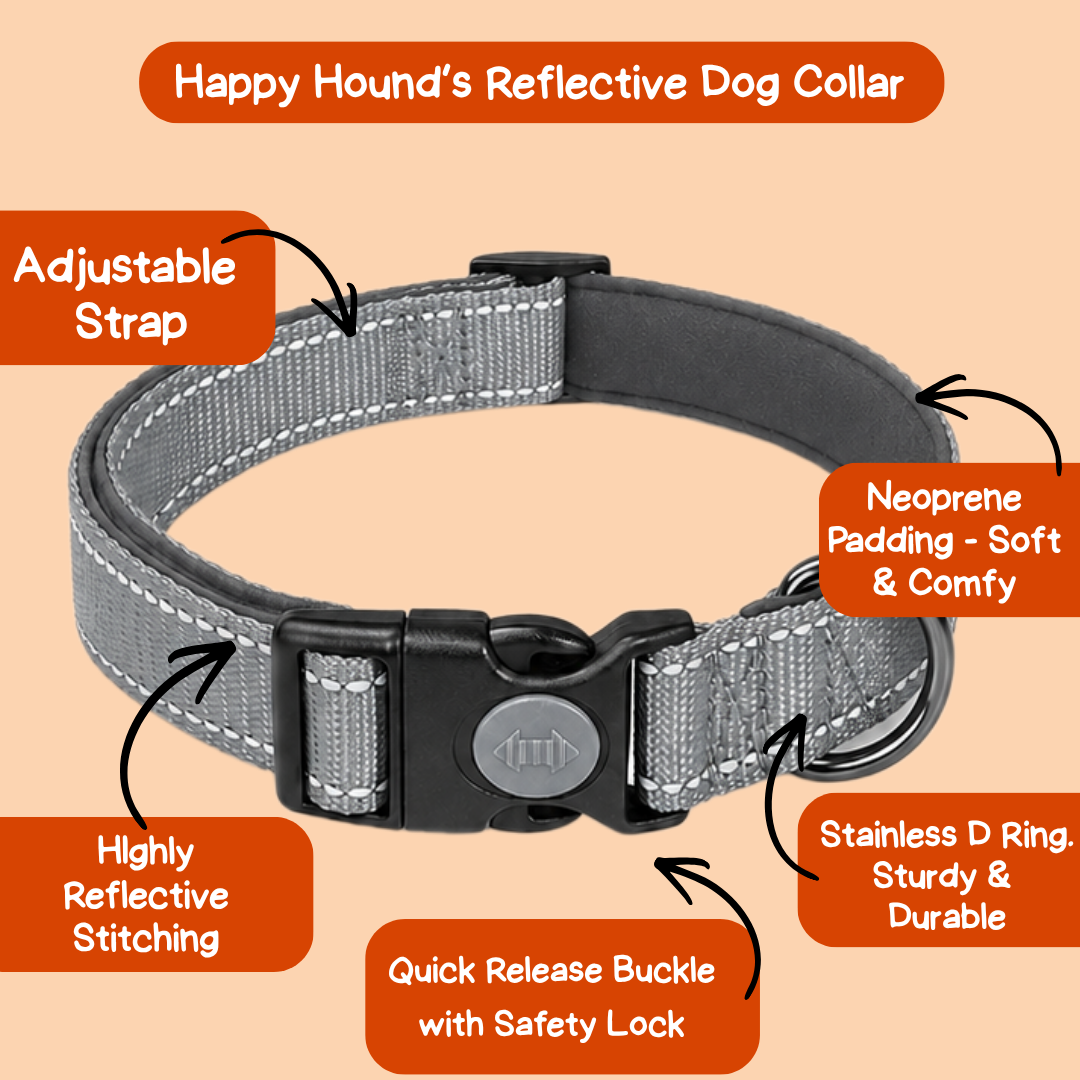 Reflective Dog Collar