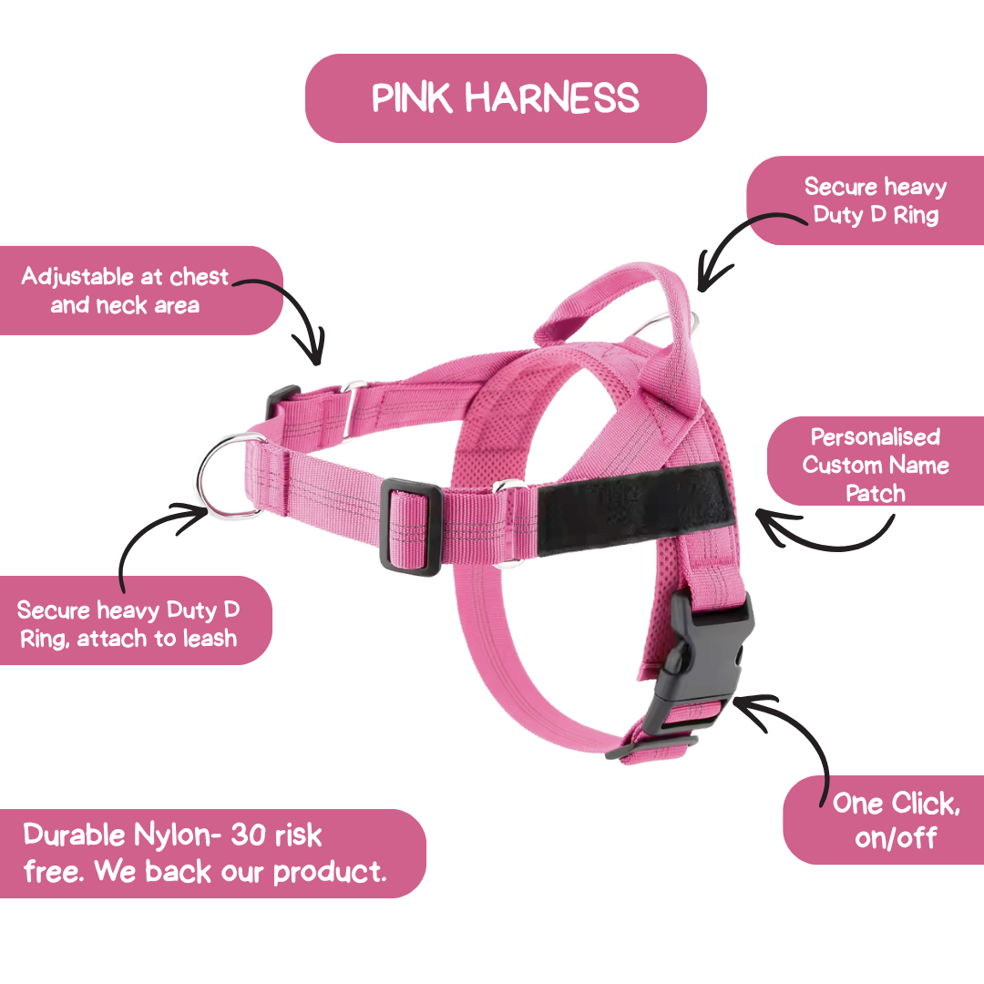 Personalised Dog Harness