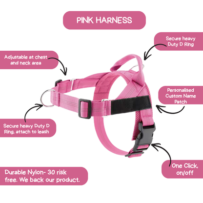 Personalised Dog Harness