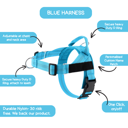 Personalised Dog Harness