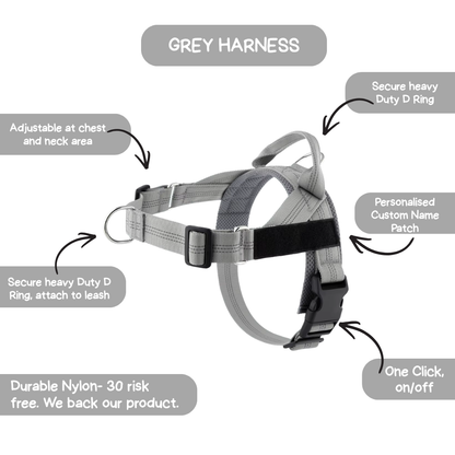 Personalised Dog Harness