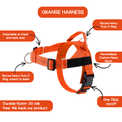 Personalised Dog Harness
