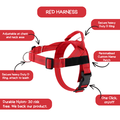 Personalised Dog Harness