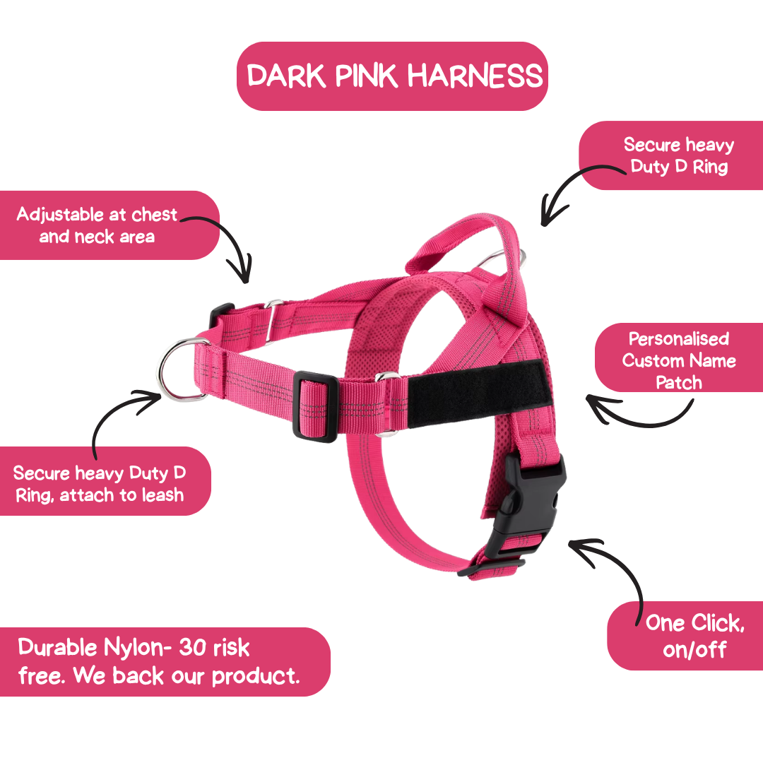 Personalised Dog Harness