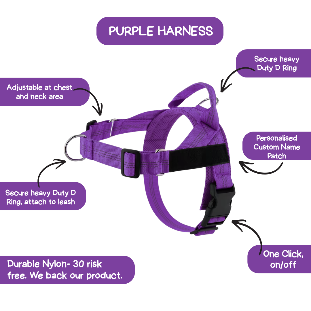 Personalised Dog Harness