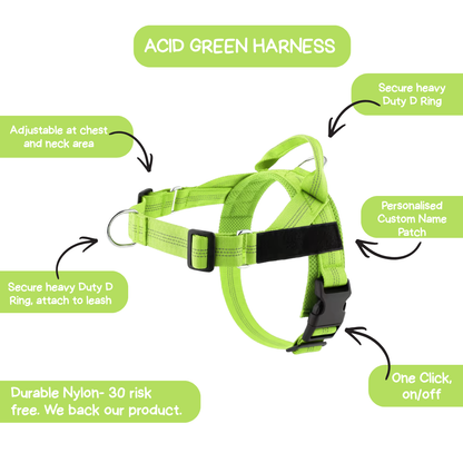 Personalised Dog Harness