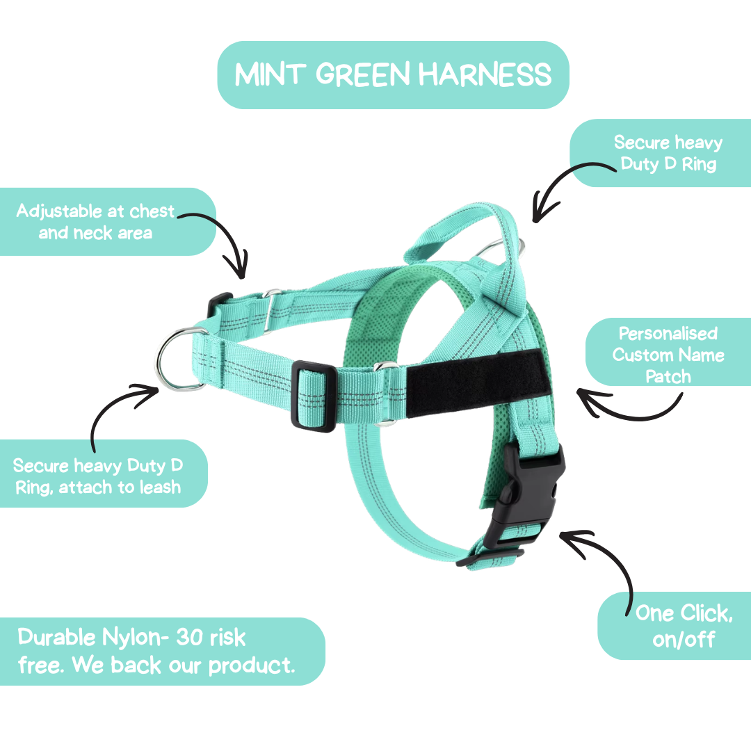 Personalised Dog Harness