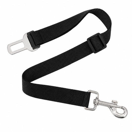 Seat Belt for Car